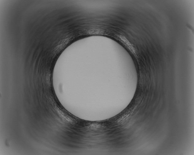 X0000094800441200712141656