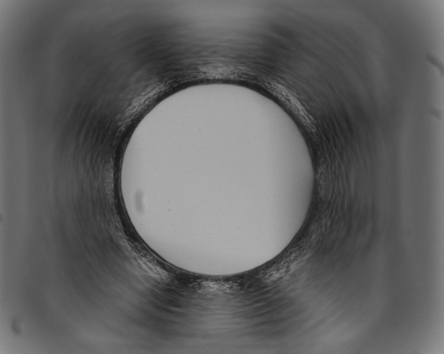 X0000094800442200712141656