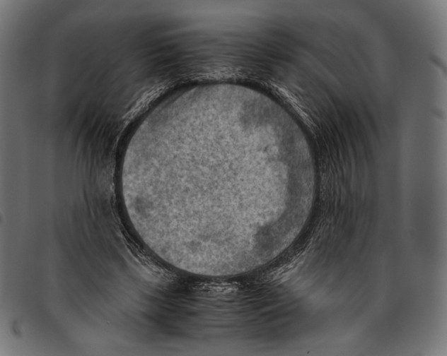 X0000094800443200712141656