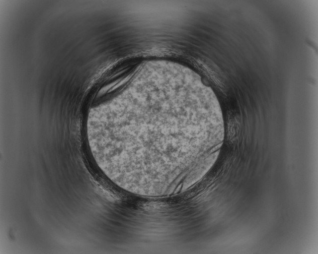 X0000094800444200712141656