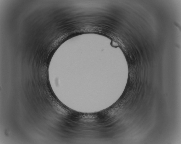 X0000094800445200712141656