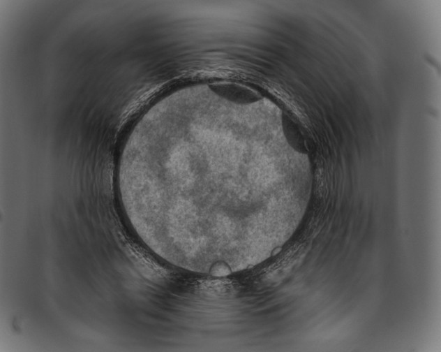 X0000094800446200712141656