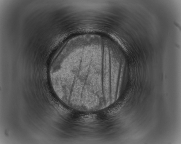 X0000094800447200712141656