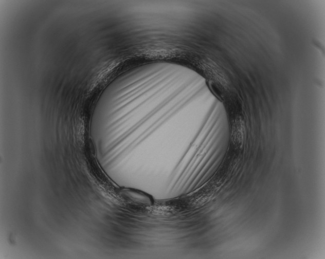 X0000094800448200712141656