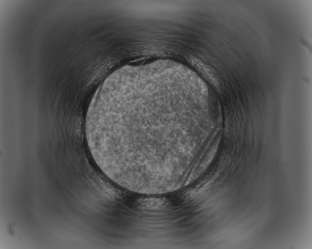 X0000094800449200712141656