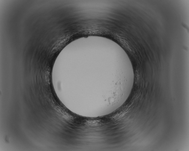 X0000094800450200712141656