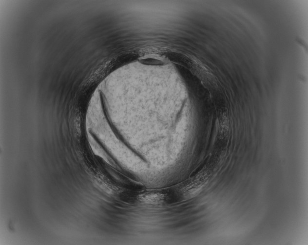 X0000094800452200712141656