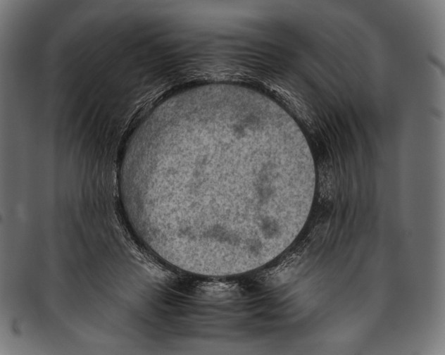 X0000094800453200712141656
