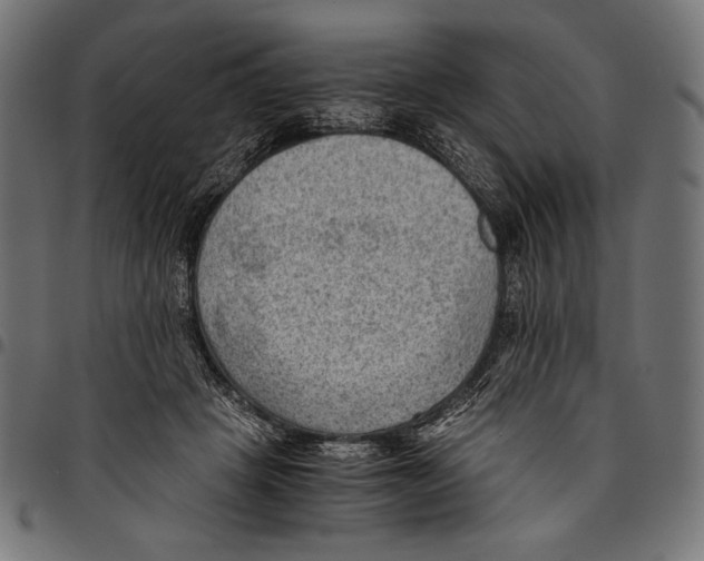 X0000094800457200712141656