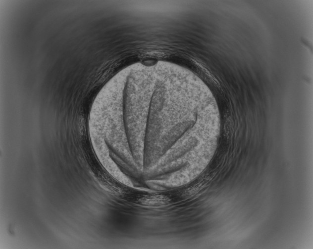 X0000094800459200712141657