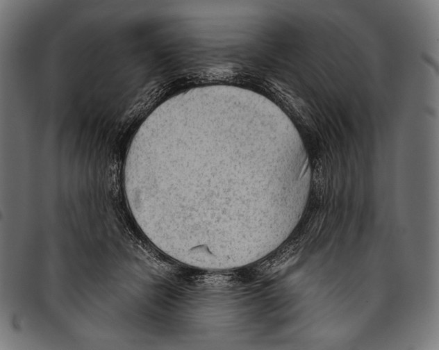 X0000094800462200712141657