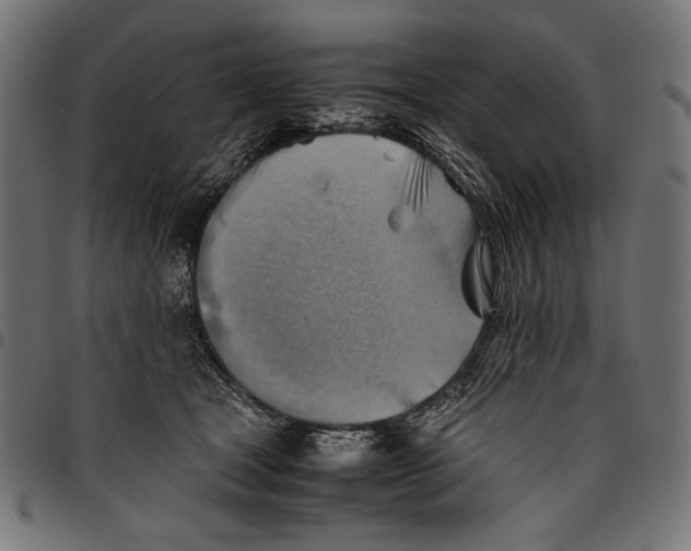 X0000094800465200712141657
