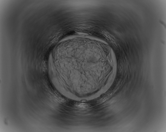 X0000094800467200712141657