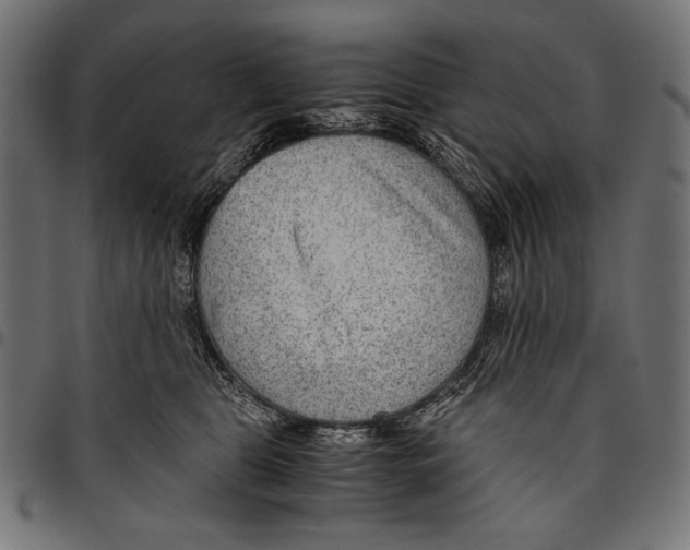 X0000094800469200712141657