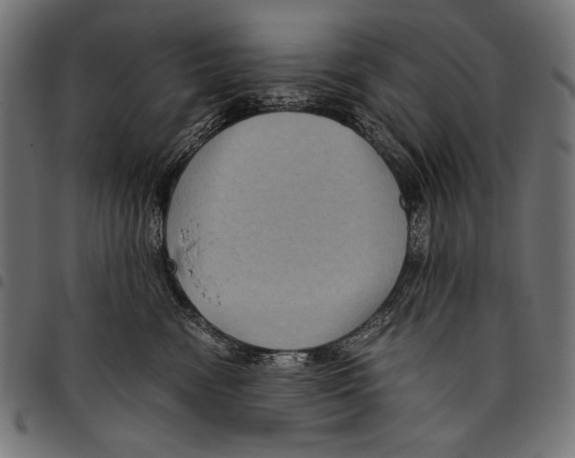 X0000094800474200712141657