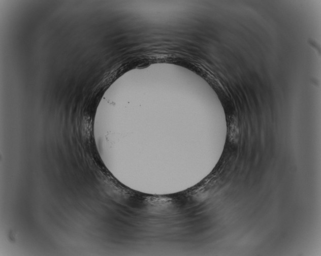 X0000094800476200712141657
