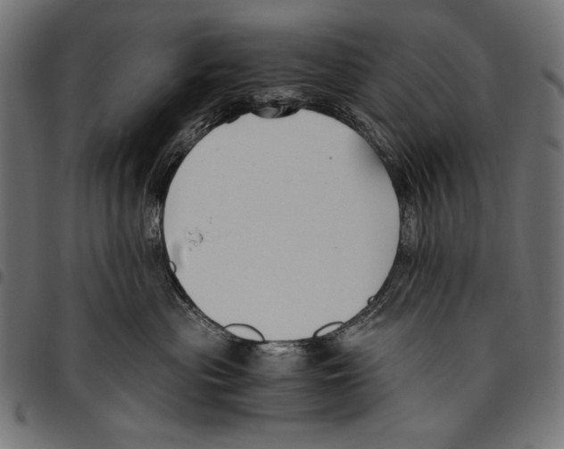 X0000094800477200712141657