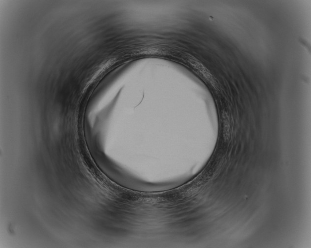 X0000094800482200712141656