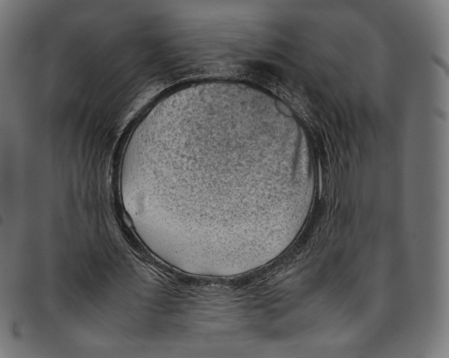 X0000094800483200712141656