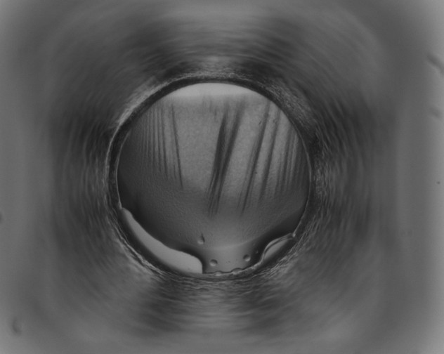 X0000094800484200712141656