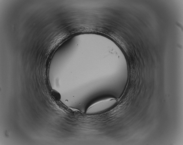 X0000094800485200712141656