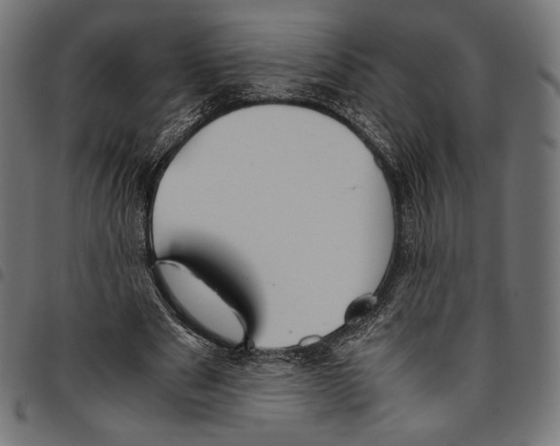 X0000094800489200712141656
