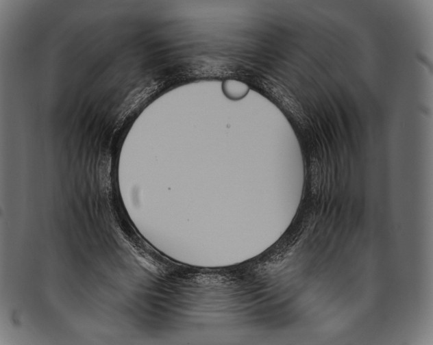 X0000094800490200712141656