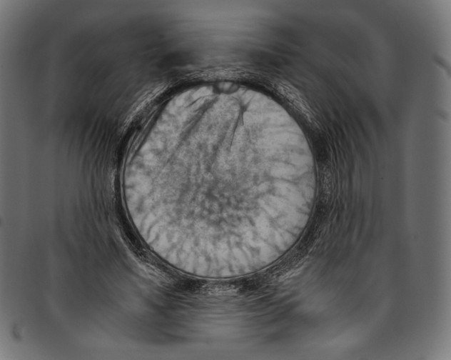 X0000094800491200712141656