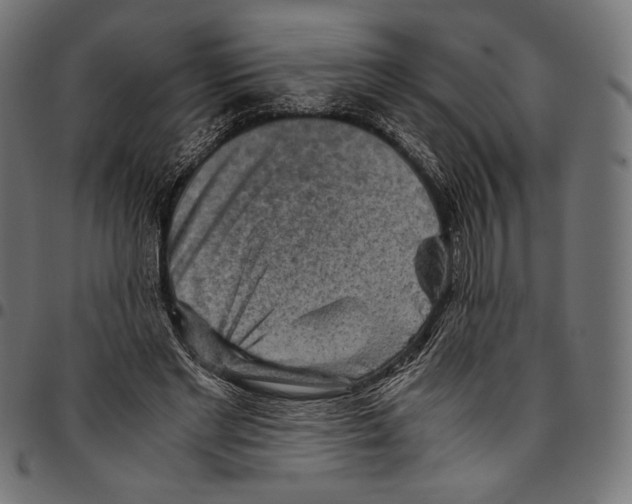 X0000094800493200712141656