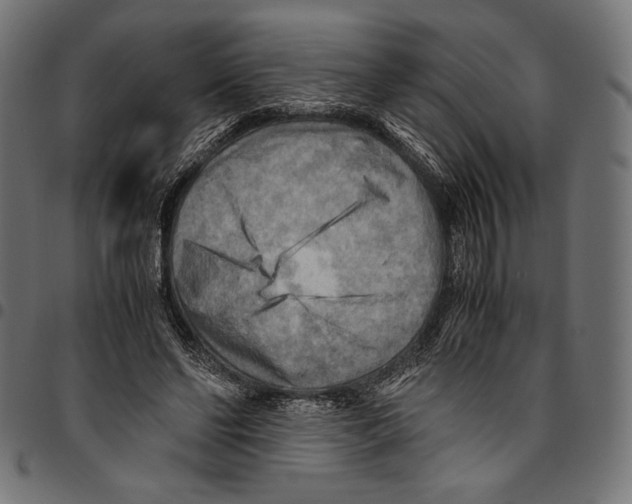 X0000094800494200712141656