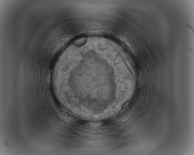 X0000094800495200712141656