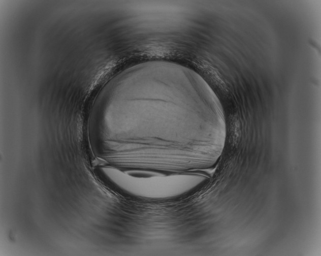 X0000094800496200712141656