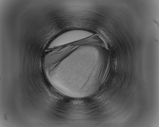 X0000094800500200712141656