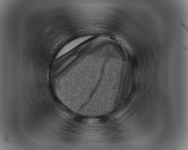 X0000094800501200712141656