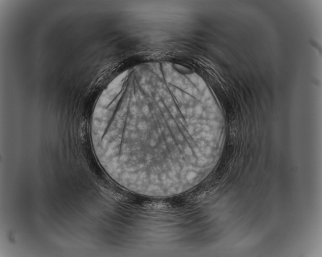 X0000094800503200712141656
