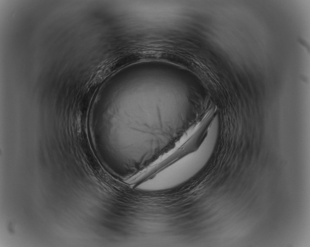 X0000094800504200712141656