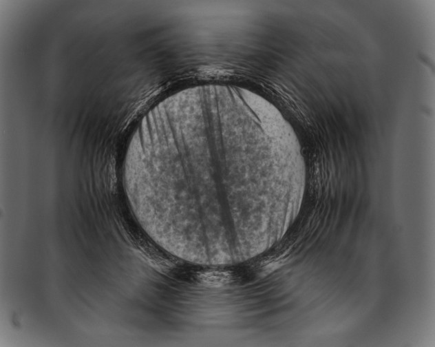 X0000094800508200712141656