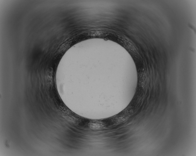 X0000094800510200712141656