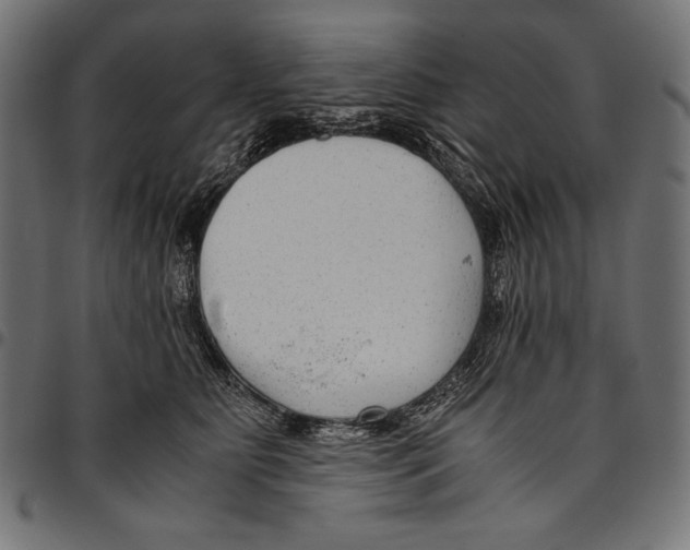 X0000094800515200712141656