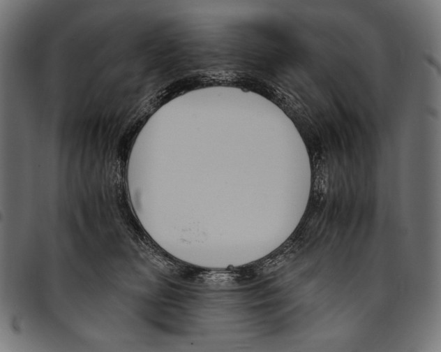 X0000094800518200712141655