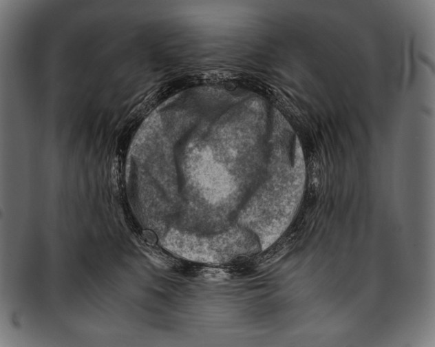 X0000094800519200712141655