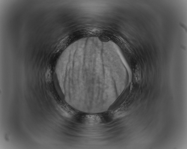 X0000094800520200712141655