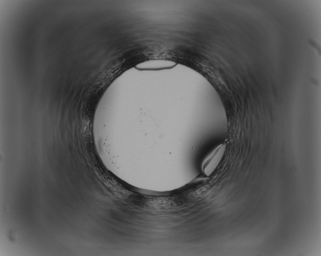 X0000094800521200712141655