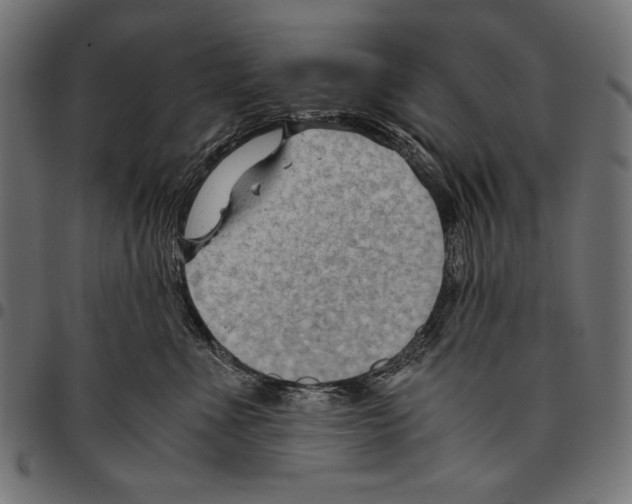 X0000094800523200712141655