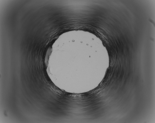 X0000094800524200712141655