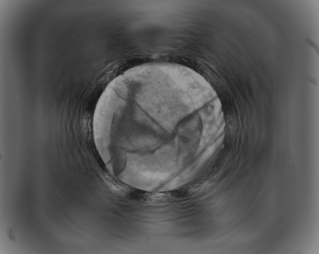 X0000094800527200712141655