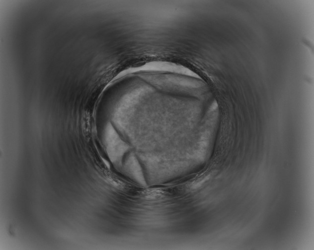 X0000094800528200712141655