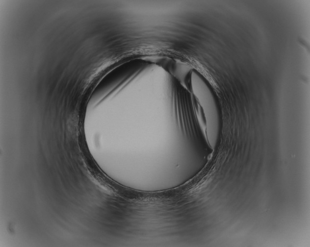 X0000094800530200712141655