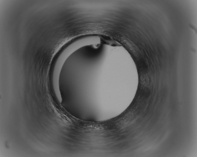 X0000094800532200712141655