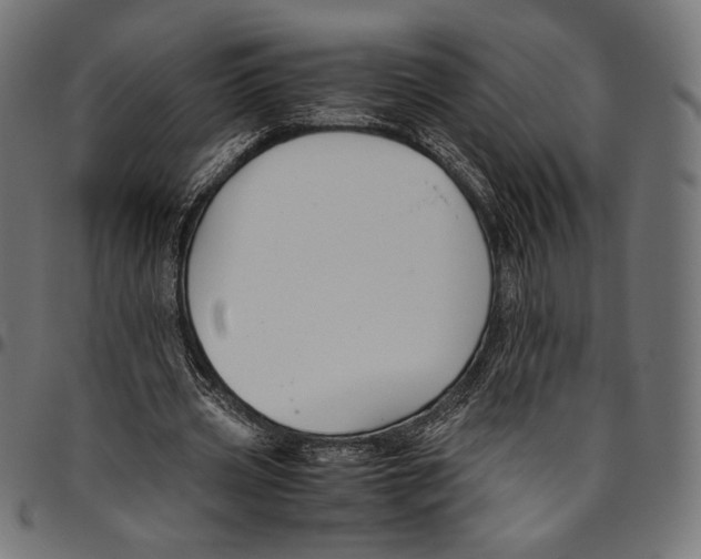 X0000094800533200712141655